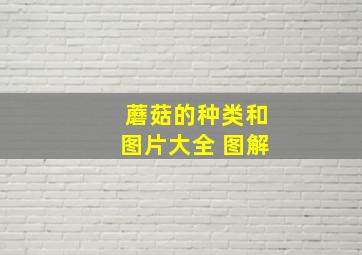 蘑菇的种类和图片大全 图解